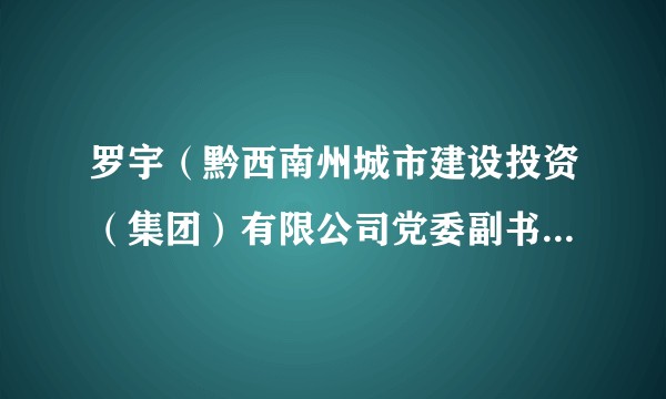 罗宇(黔西南州城市建设投资(集团)有限公司党委副书记、董事、副总经理)