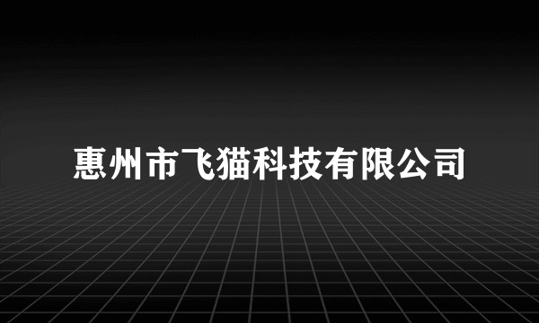 惠州市飞猫科技有限公司