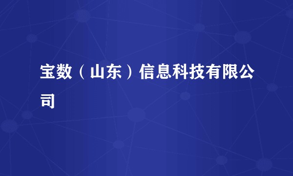 宝数（山东）信息科技有限公司