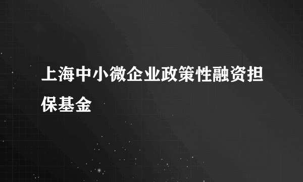 上海中小微企业政策性融资担保基金