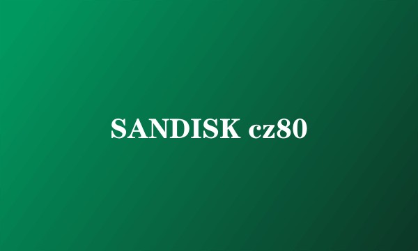 SANDISK cz80