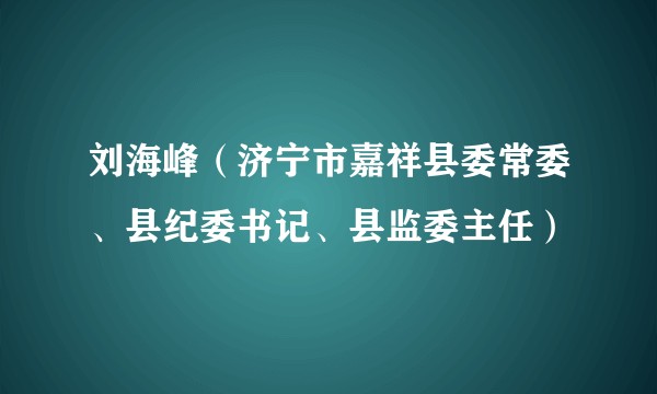 刘海峰（济宁市嘉祥县委常委、县纪委书记、县监委主任）