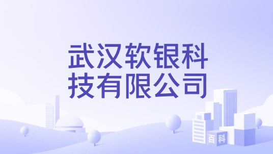武汉软银科技有限公司