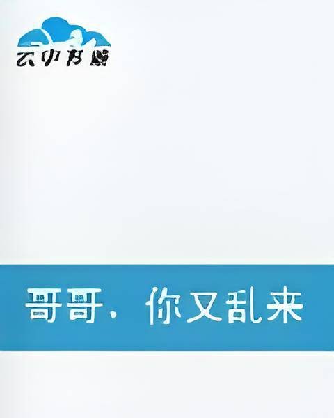 哥哥，你又乱来