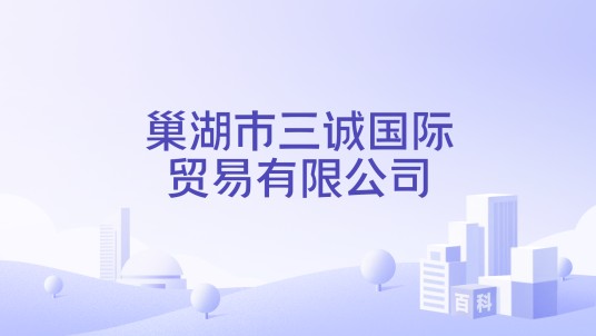 巢湖市三诚国际贸易有限公司
