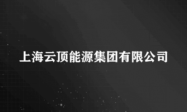 上海云顶能源集团有限公司