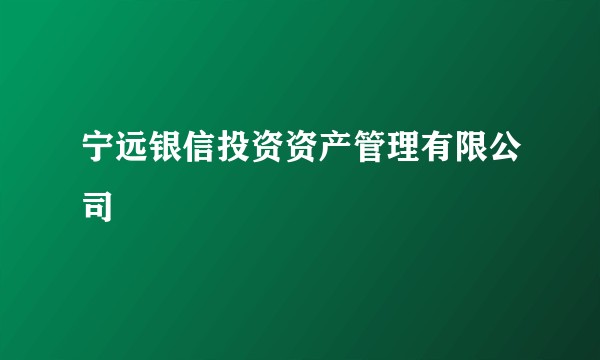 宁远银信投资资产管理有限公司