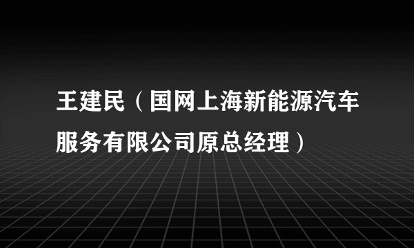 王建民（国网上海新能源汽车服务有限公司原总经理）