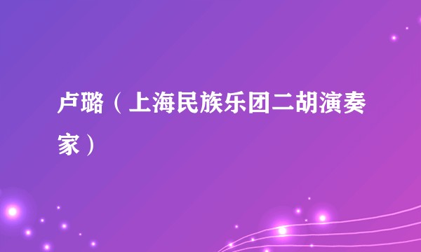 卢璐(上海民族乐团二胡演奏家)