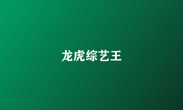 龙虎综艺王