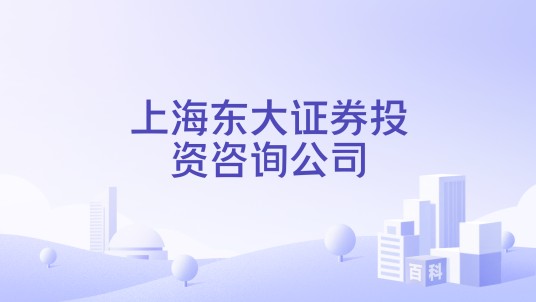 上海东大证券投资咨询公司