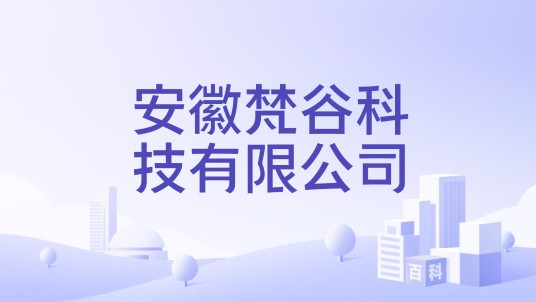 安徽梵谷科技有限公司