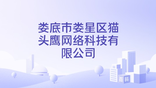 娄底市娄星区猫头鹰网络科技有限公司