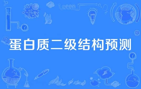 蛋白质二级结构预测