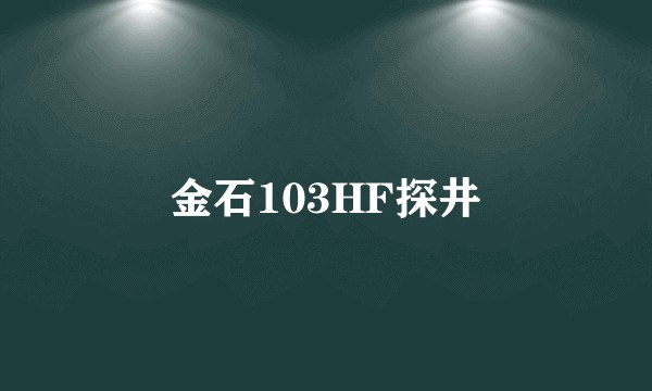 金石103HF探井