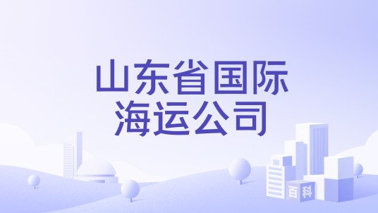 山东省国际海运公司