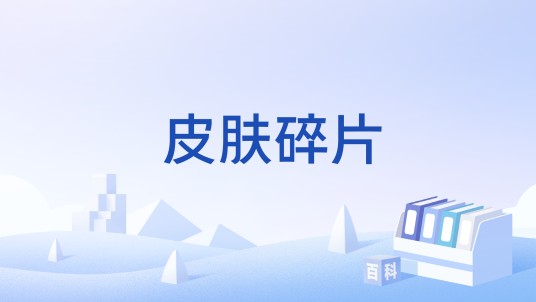 皮肤碎片