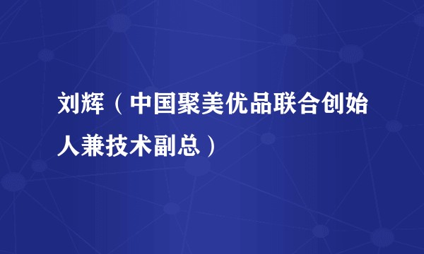 刘辉（中国聚美优品联合创始人兼技术副总）