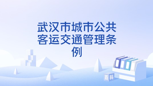 武汉市城市公共客运交通管理条例