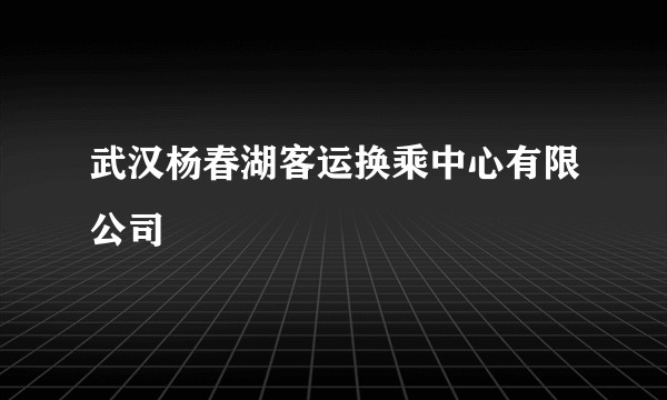 武汉杨春湖客运换乘中心有限公司