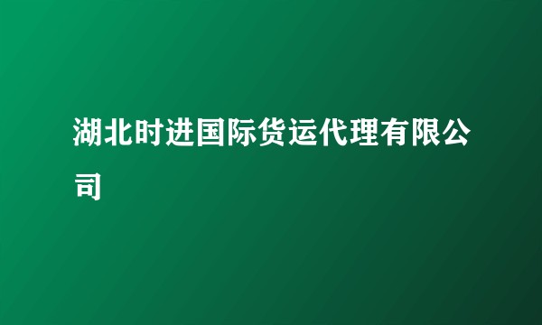 湖北时进国际货运代理有限公司