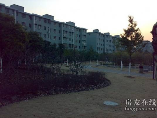 泗塘八村