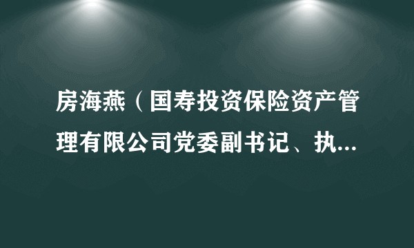 房海燕（国寿投资保险资产管理有限公司党委副书记、执行董事、副总裁、临时负责人）