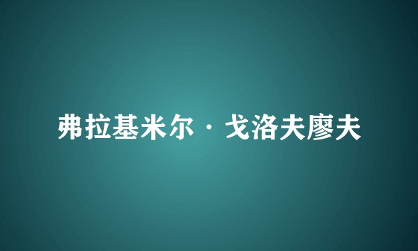 弗拉基米尔·戈洛夫廖夫