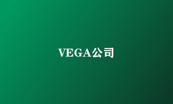 VEGA公司
