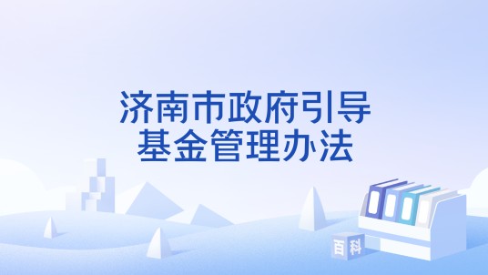 济南市政府引导基金管理办法
