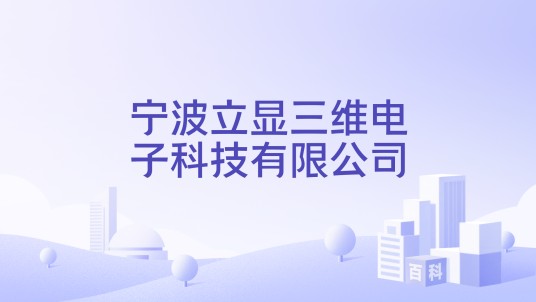 宁波立显三维电子科技有限公司