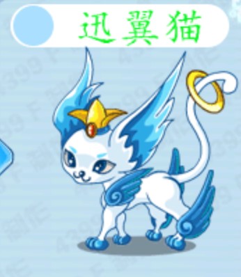 迅翼猫