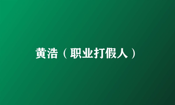 黄浩（职业打假人）