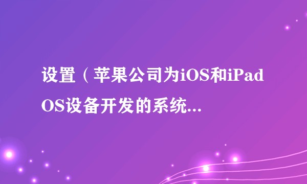 设置（苹果公司为iOS和iPadOS设备开发的系统内置应用）