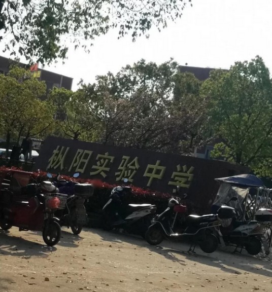 铜陵市枞阳实验中学