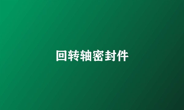回转轴密封件