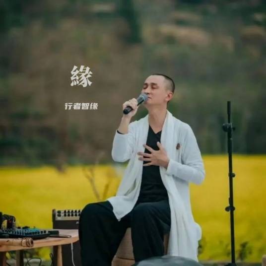 缘（智缘演唱的歌曲）