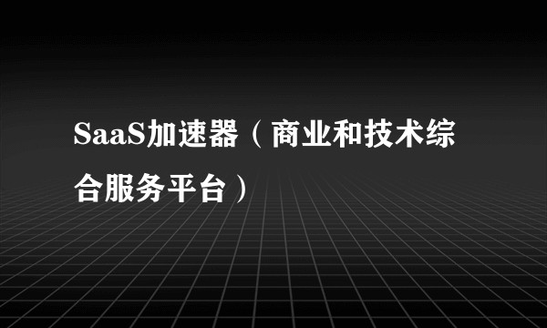 SaaS加速器（商业和技术综合服务平台）