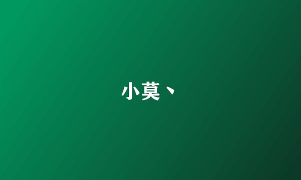 小莫丶