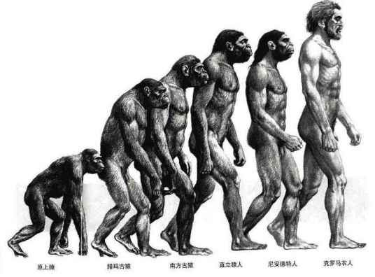 直立行走（人类出现的标志之一）