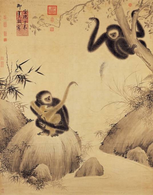猿图