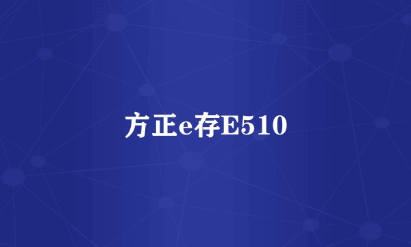方正e存E510
