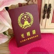 圣光棍节