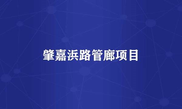 肇嘉浜路管廊项目