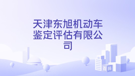 天津东旭机动车鉴定评估有限公司