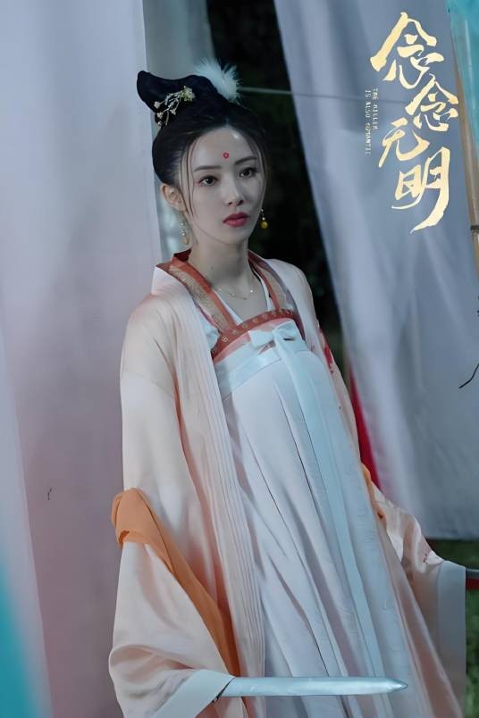 司小念(电视剧《念念无明》角色)