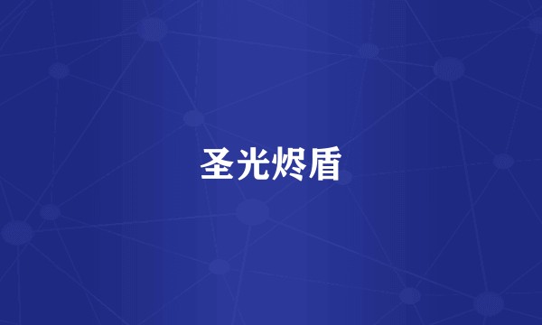圣光烬盾