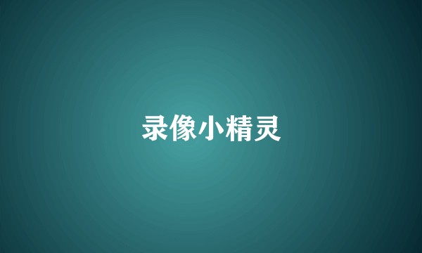 录像小精灵