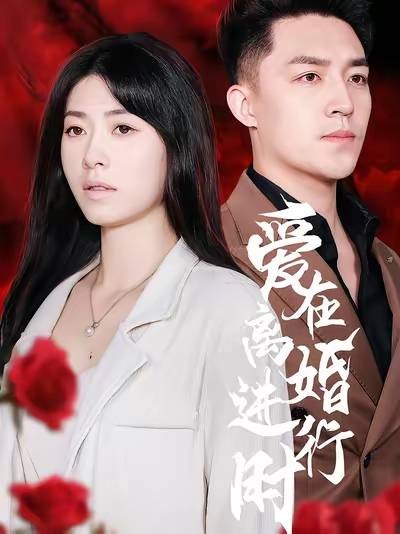 爱在离婚进行时（2024年刘月涛、诸玲颖主演的短剧）