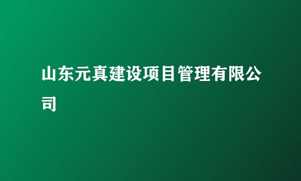 山东元真建设项目管理有限公司